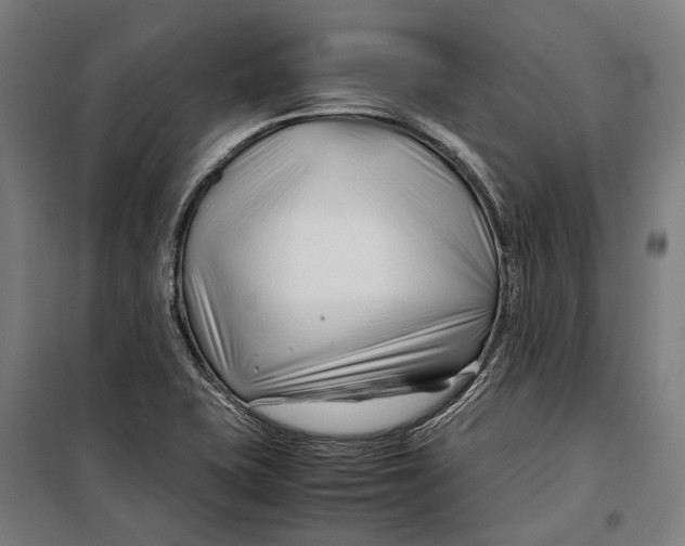 X0000099511415200806121428