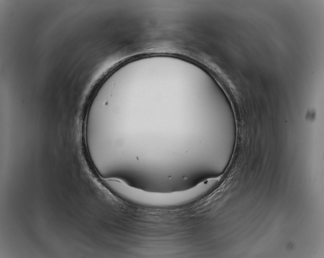 X0000099511416200806121428