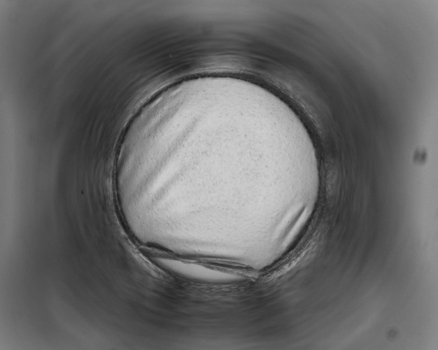 X0000099511417200806121428