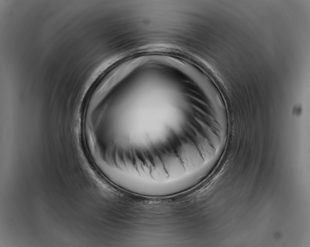 X0000099511418200806121428