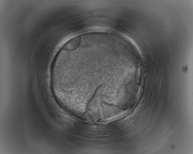 X0000099511419200806121428