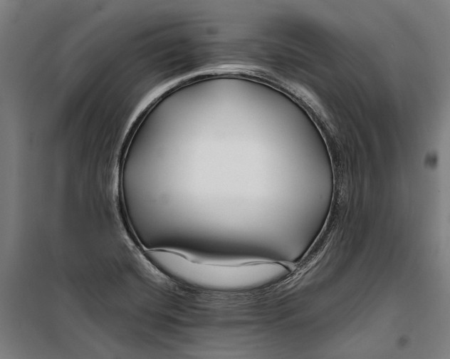 X0000099511420200806121428