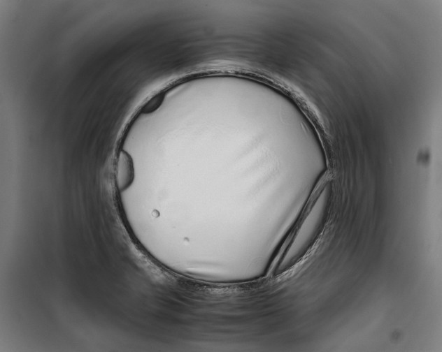 X0000099511421200806121428