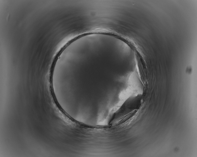 X0000099511422200806121428