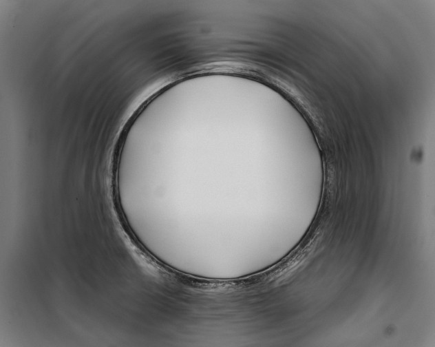 X0000099511426200806121428