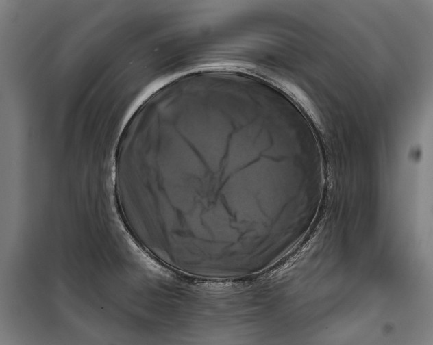 X0000099511428200806121428