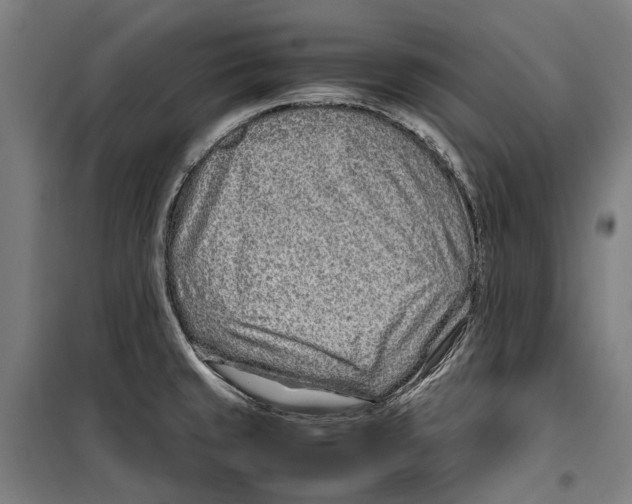 X0000099511429200806121428