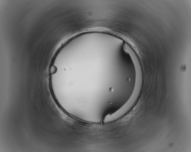 X0000099511430200806121428