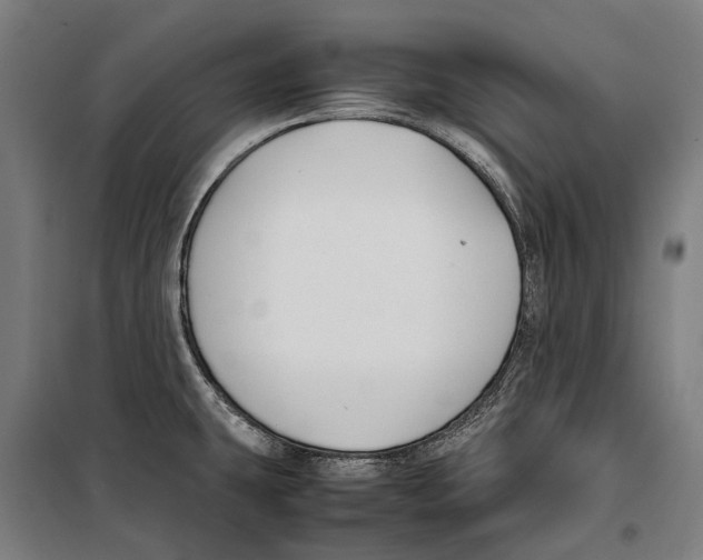 X0000099511431200806121428