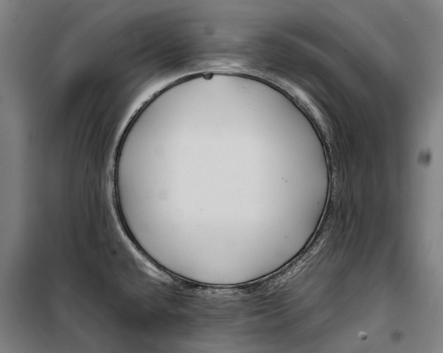 X0000099511432200806121428