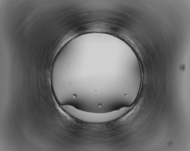 X0000099511433200806121428