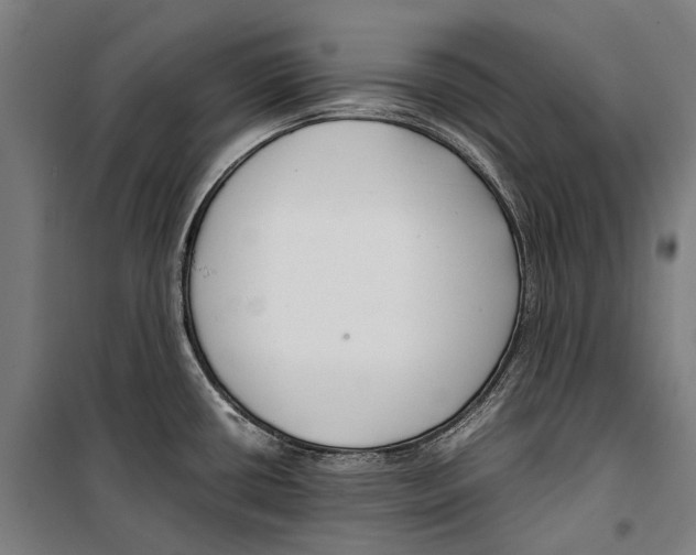 X0000099511434200806121428