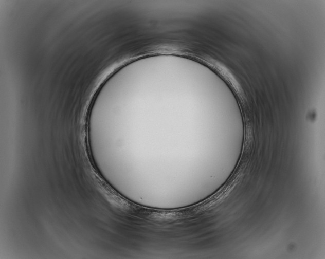 X0000099511435200806121428