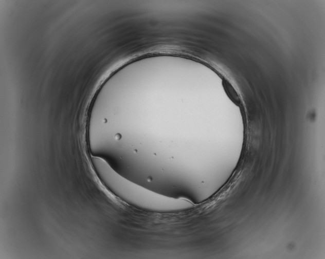 X0000099511437200806121428