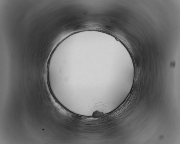 X0000099511439200806121429