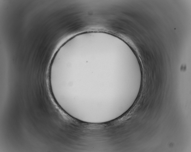 X0000099511440200806121429