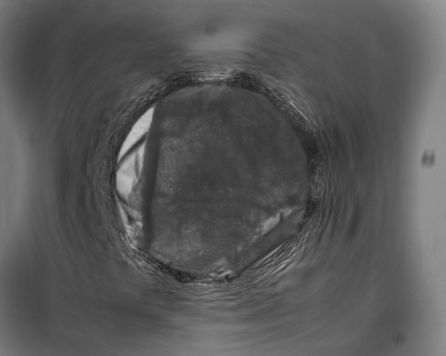 X0000099511441200806121428