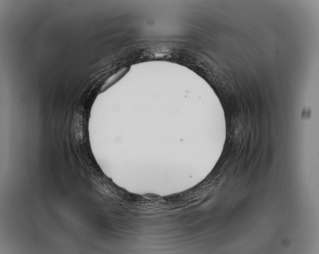 X0000099511442200806121428