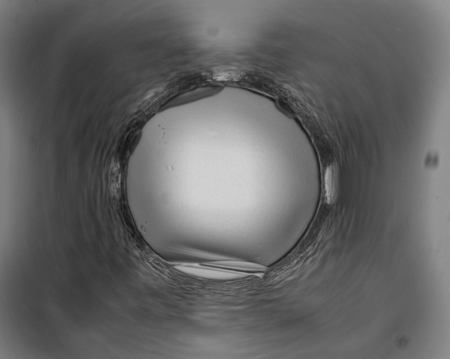 X0000099511443200806121428