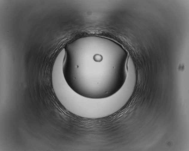 X0000099511444200806121428