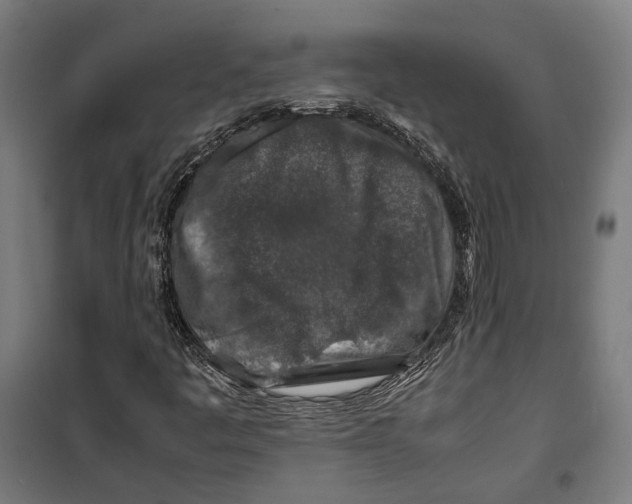 X0000099511445200806121428