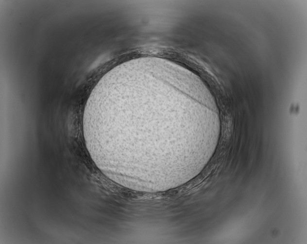 X0000099511446200806121428