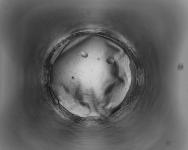 X0000099511448200806121428