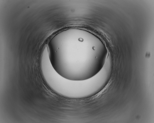 X0000099511449200806121428