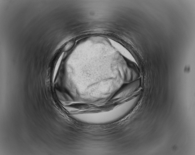 X0000099511450200806121428