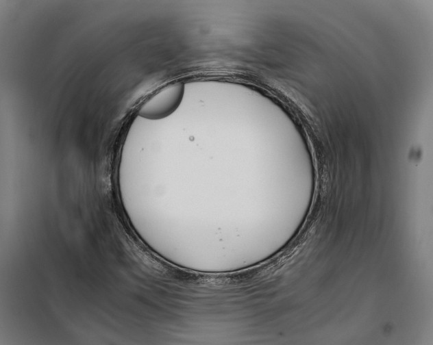 X0000099511451200806121428