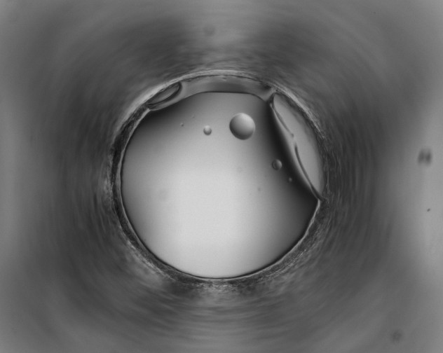 X0000099511452200806121428