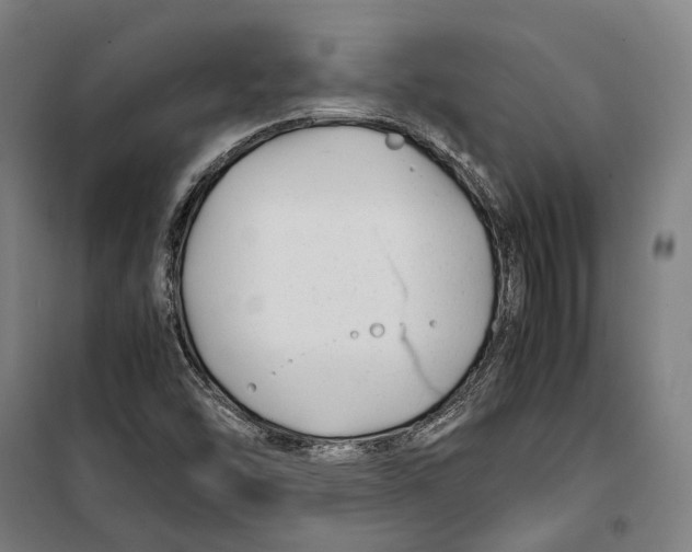 X0000099511454200806121428