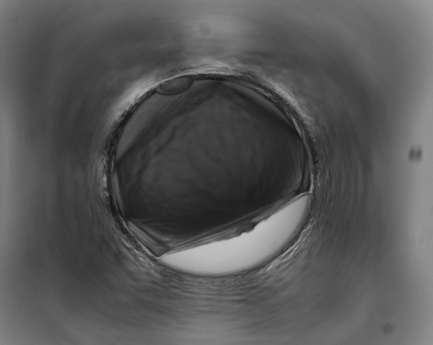 X0000099511455200806121428