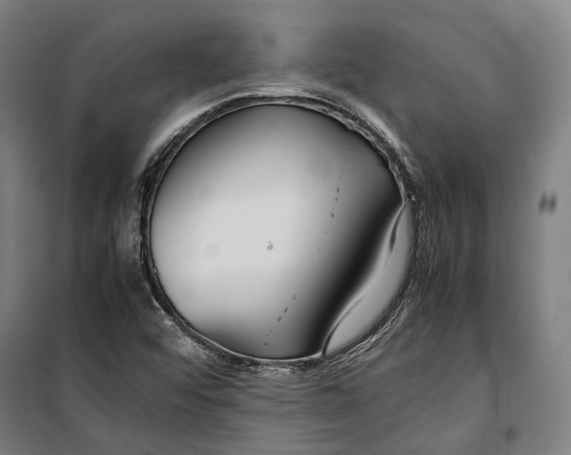 X0000099511456200806121428