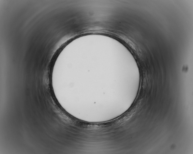 X0000099511458200806121428