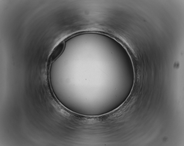 X0000099511460200806121427