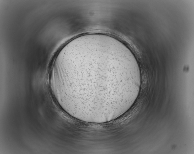 X0000099511462200806121427