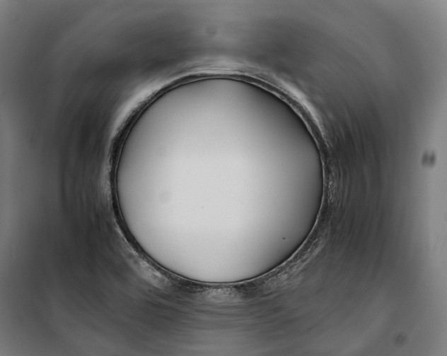 X0000099511464200806121427