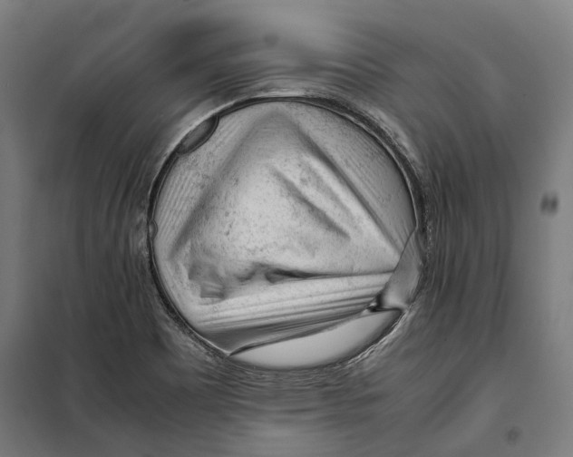 X0000099511465200806121427