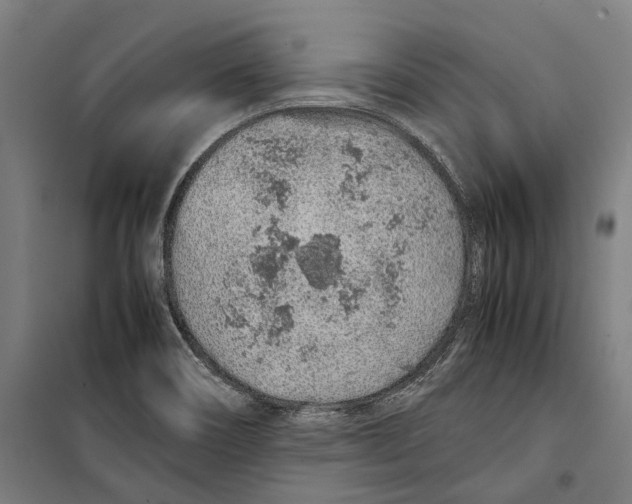 X0000099511466200806121427