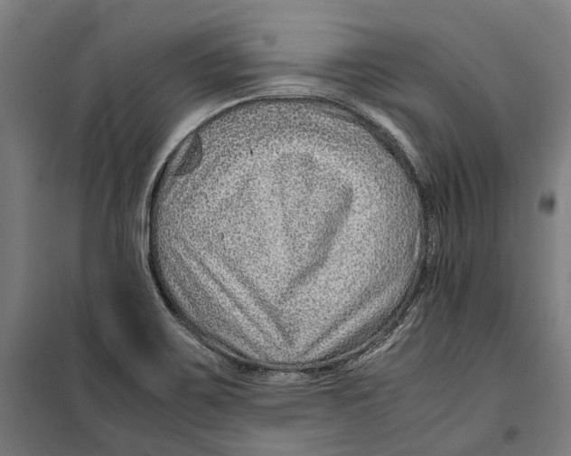 X0000099511467200806121427