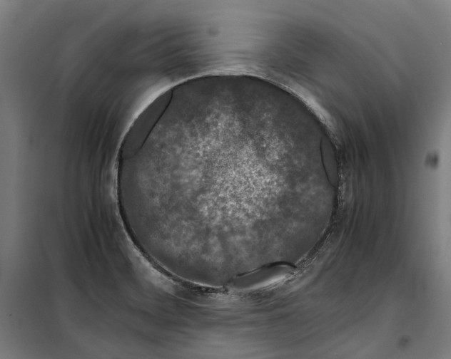 X0000099511468200806121427