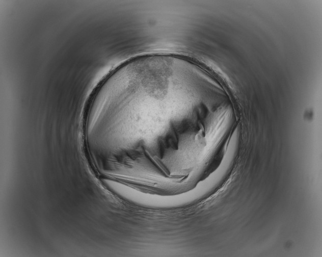 X0000099511469200806121427