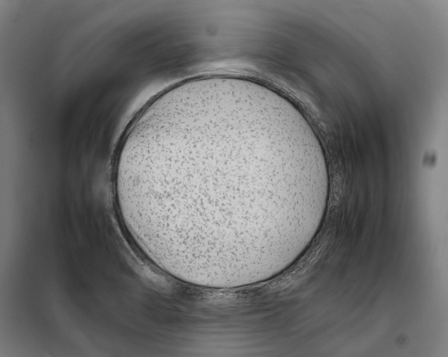 X0000099511470200806121427