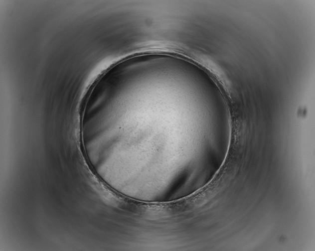 X0000099511472200806121427