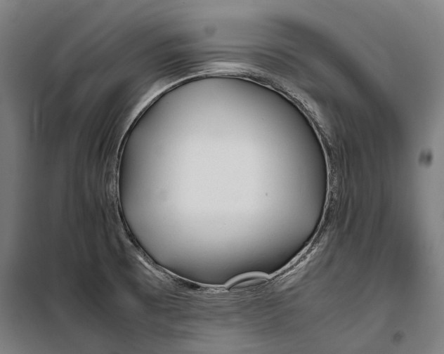 X0000099511473200806121427