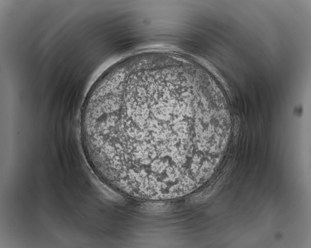 X0000099511474200806121427