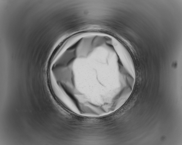 X0000099511475200806121427