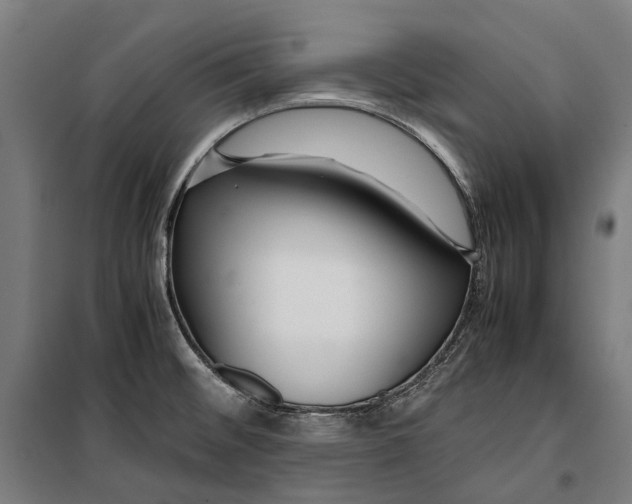 X0000099511476200806121427