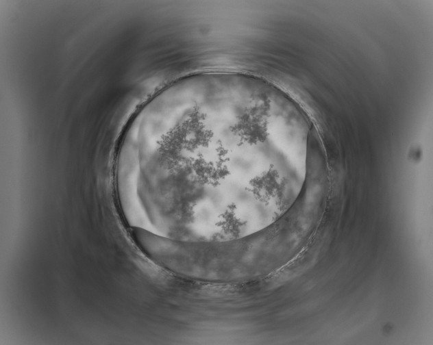 X0000099511477200806121427